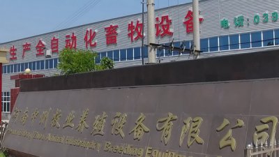 蛋鸡笼养鸡过程中蛋鸡掉毛的原因