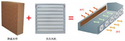 蛋鸡笼养鸡时温度对鸡的影响有多重要