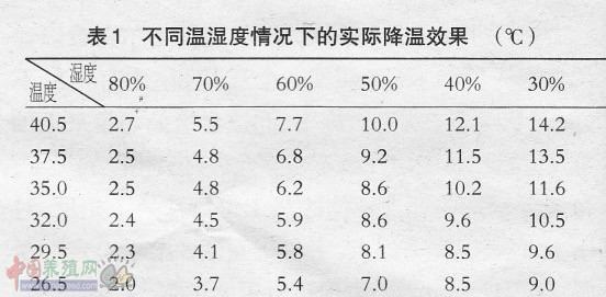 养鸡设备-中州农牧